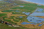Cley Marshes
